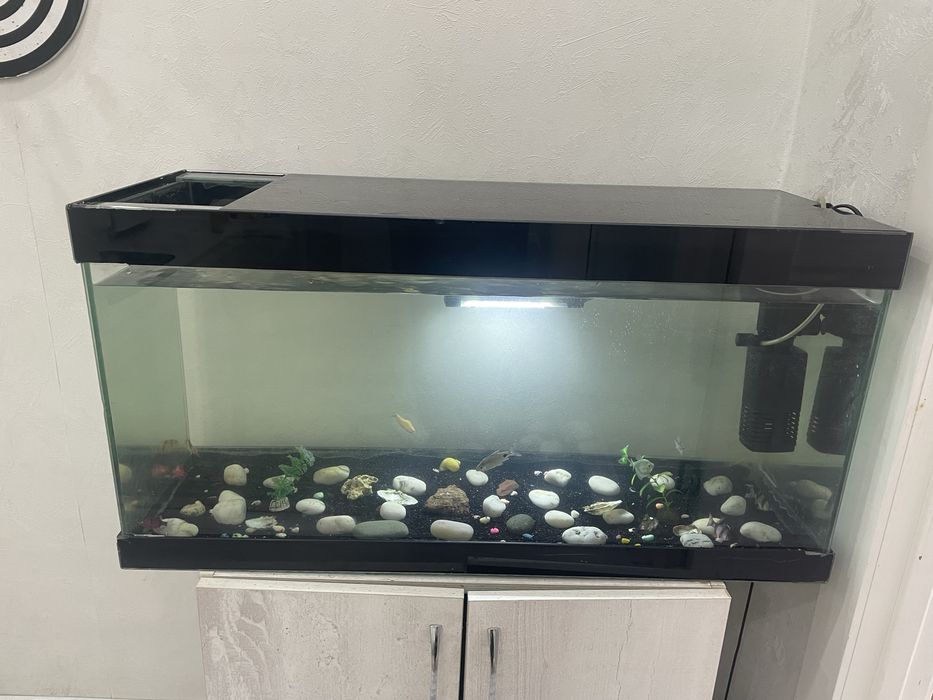 срочно! недорого !продам аквариум