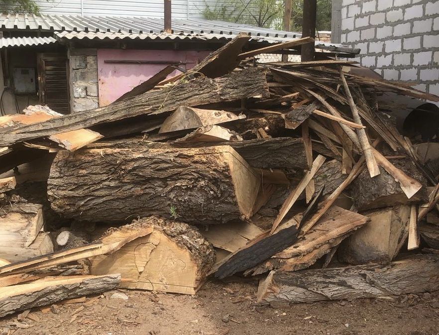 Продам дрова 5000 тенге/ куб