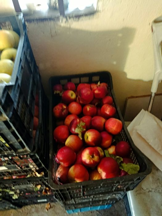 Prune si mere de vanzare