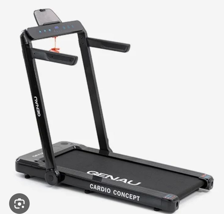 Беговая дорожка.