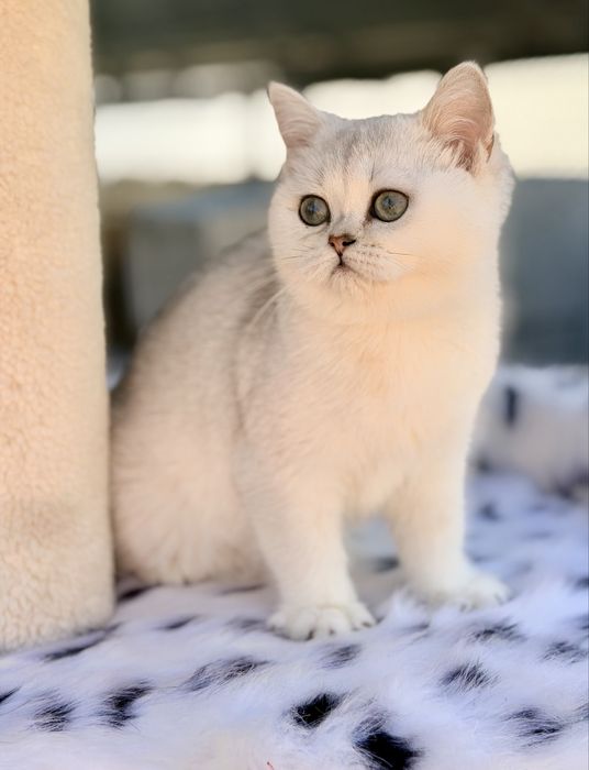 Малыши с документами