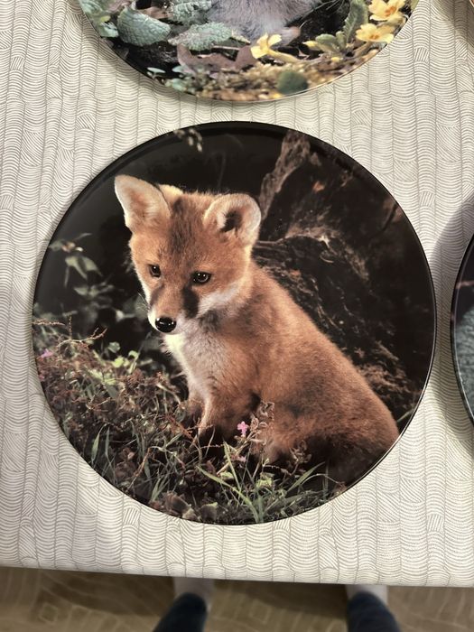 Декоративни порцеланови чинии – лимитирана серия