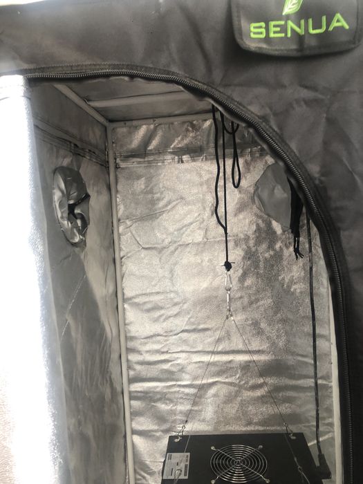 Гроубокс/гроутент