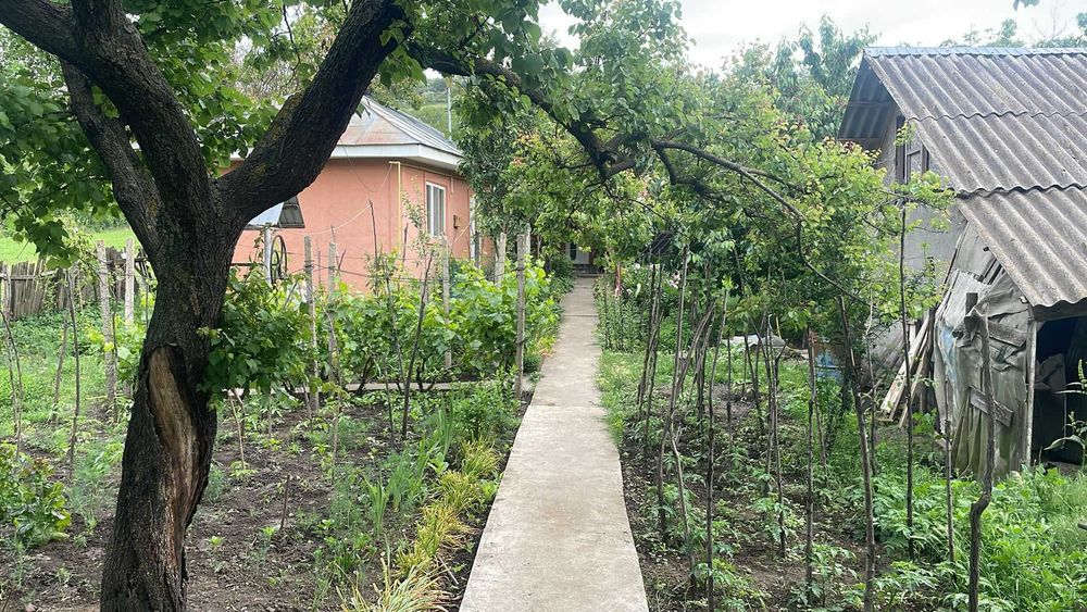 teren 3609 mp si casa de vanzare