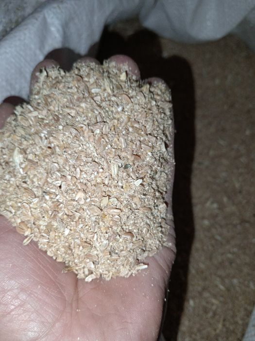 Bug‘doyli Sechkalarimiz optim narh