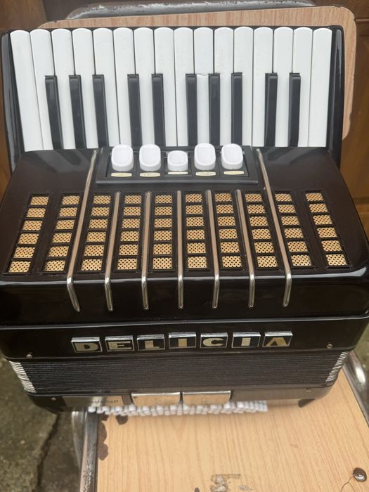 Acordeon  Delicia cu 60 basi si tobe