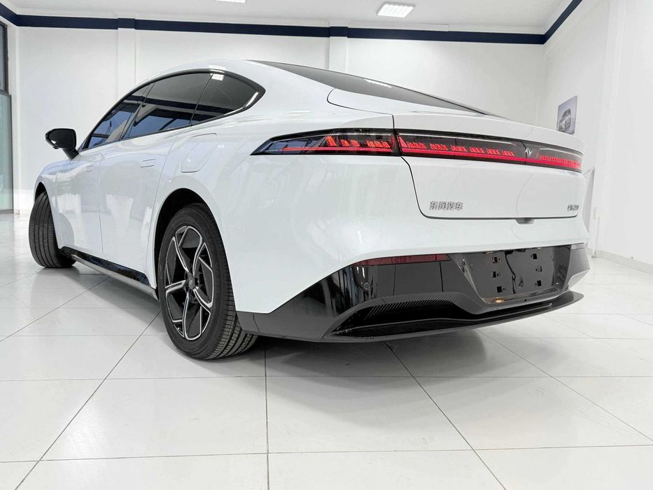 dongfeng 007 pad zakaz