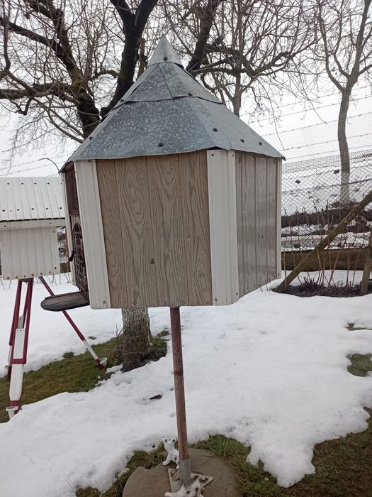 Colivie decorativa pentru porumbi