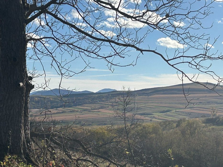 Particular - Teren Intravilan 1415 mp, panorama deosebita langa Cluj Comuna Ciurila