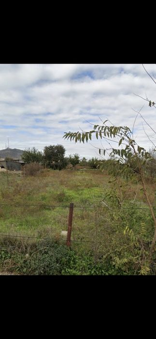 Teren liber de constructii intravilan com MAHMUDIA,TULCEA, 17000€ neg