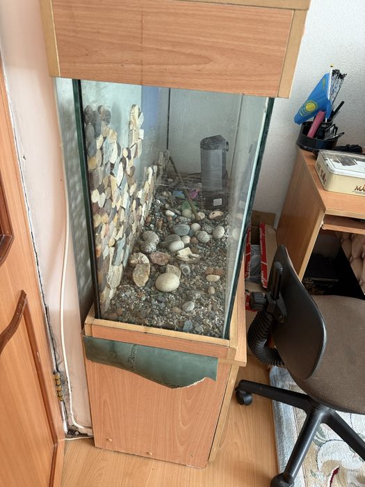 Аквариум хорошоя состаяние