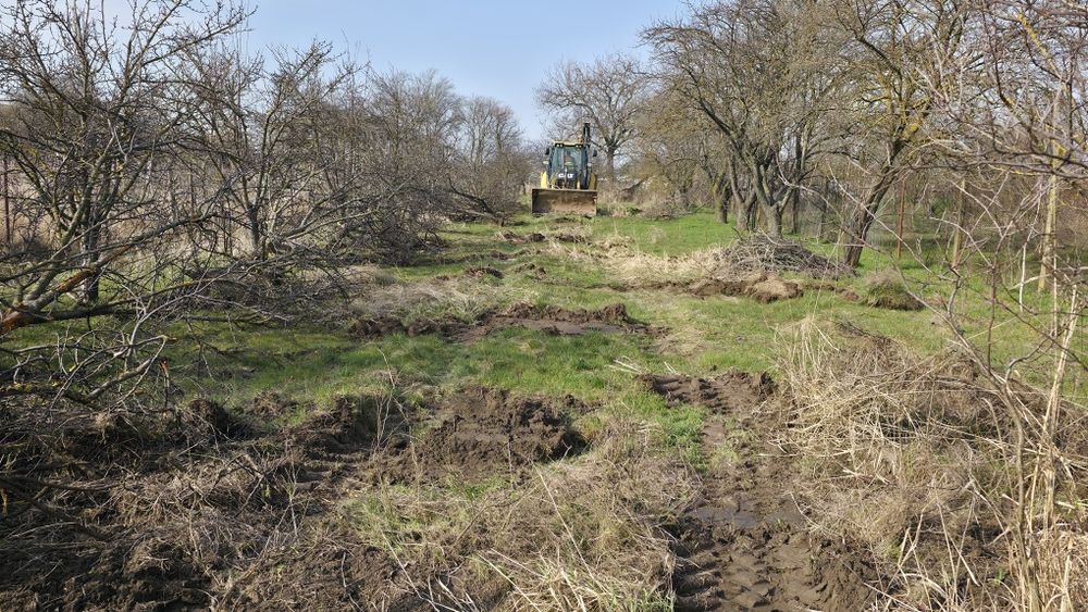 Lemn de prun pentru afumatoare sau de foc