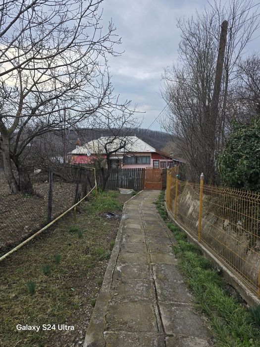 Imobiliare de vanzare la tara