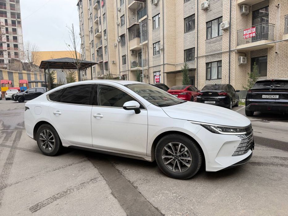 Byd chazor 2025 год 2 позиция с люком