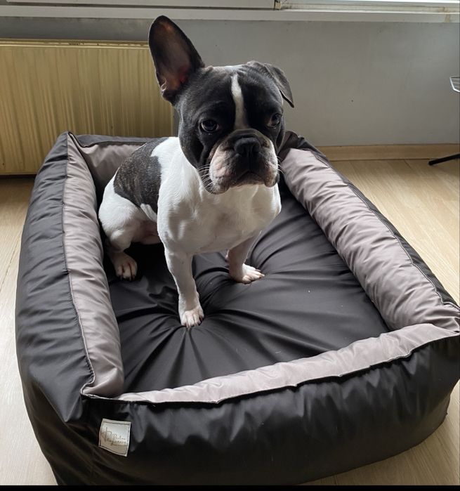 Перящо се кучешко легло