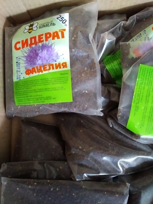 Фацелия сидерат семена 250 грамм