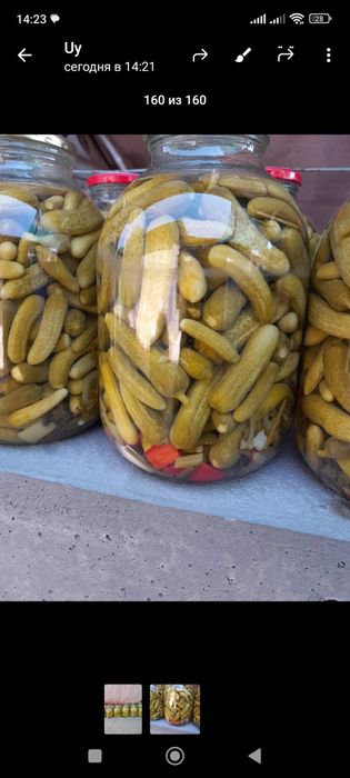 Bodring 40000 uyda tayyorlangan