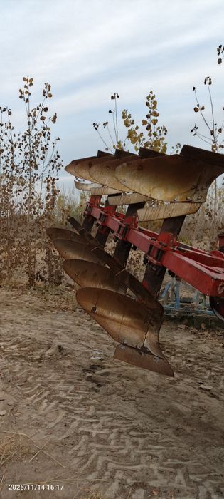 Xorazm omoch sotiladi