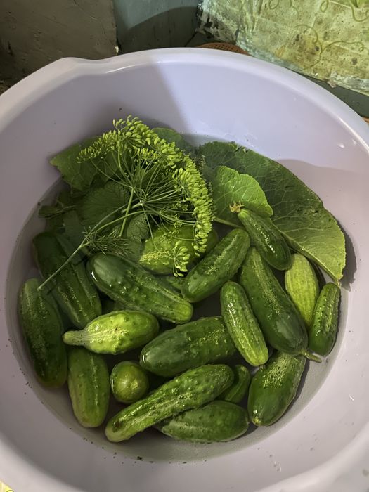 Продам частный добротный дом Казкрай