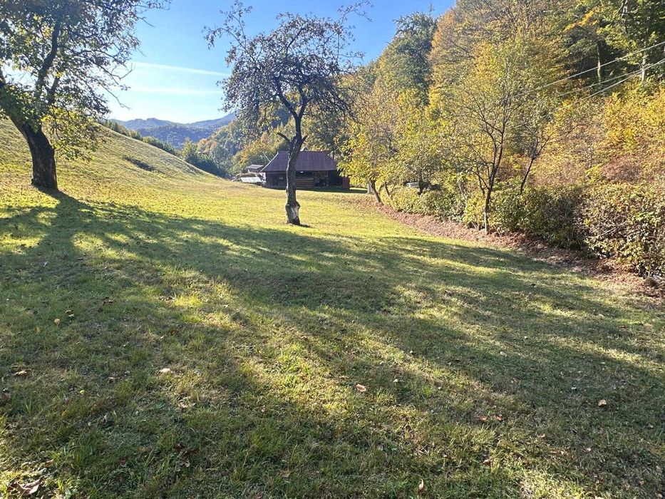 Teren intravilan in Firiza