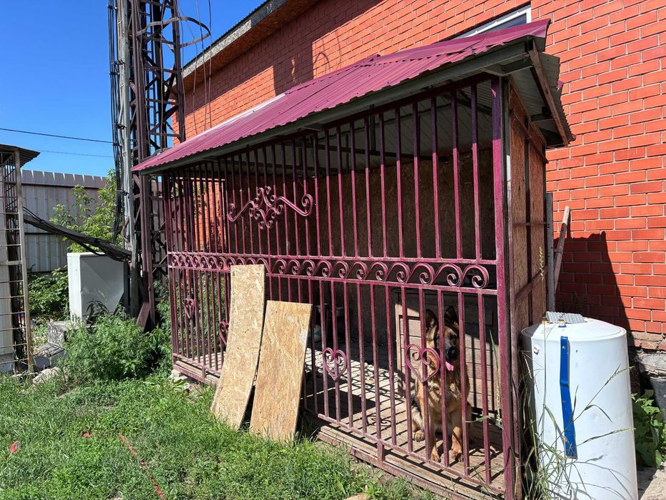 Дом возле Пёстрого