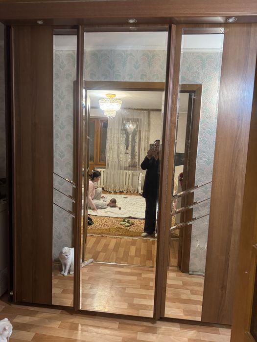 Шкаф купе для прихожец