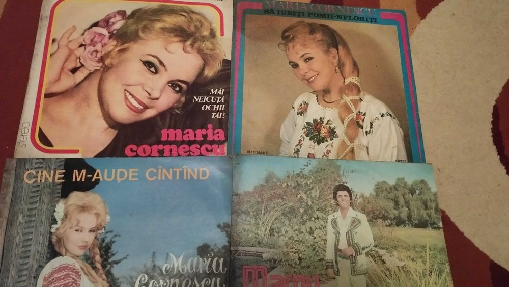 Vinil discuri colecție