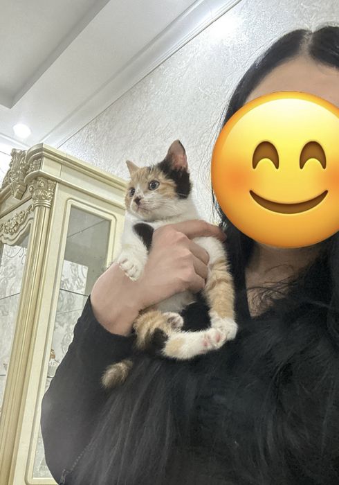 Отдам даром в добрые руки