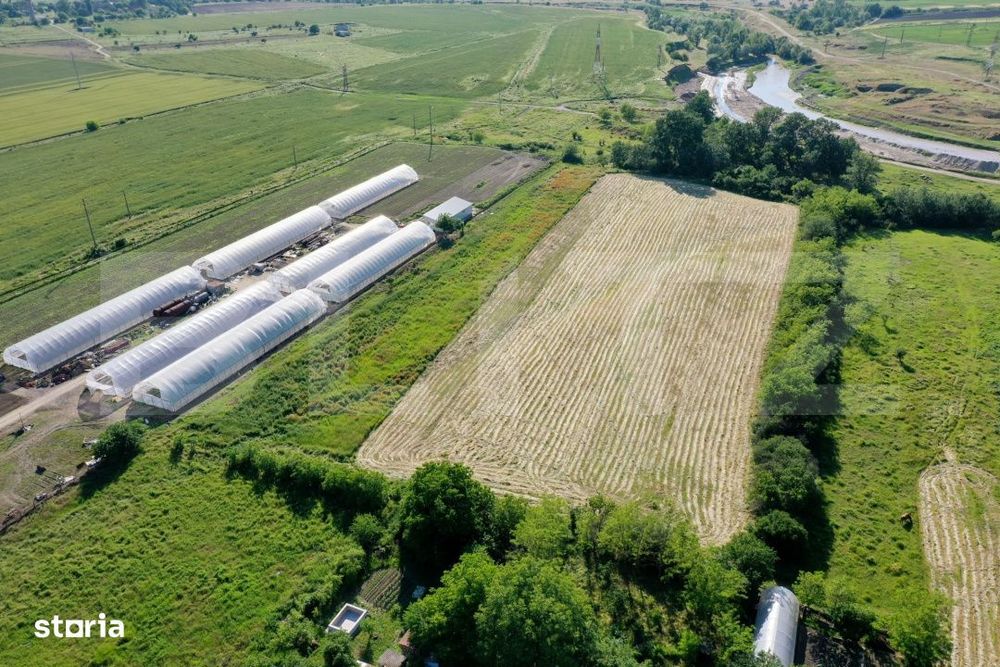 Teren EV si IV cu casa, 29.600 mp, utilitati si acces facil, Albesti