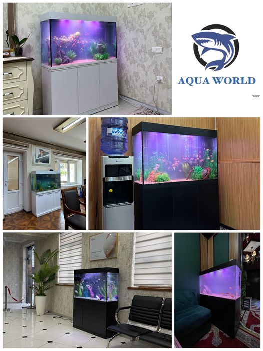 Чистка аквариума | Vaqt va asabingizni tejang!” AQUAWORLD |