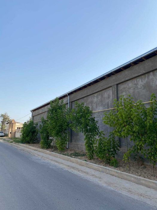 Кенсойда 20 сотих нотурар база сотилади