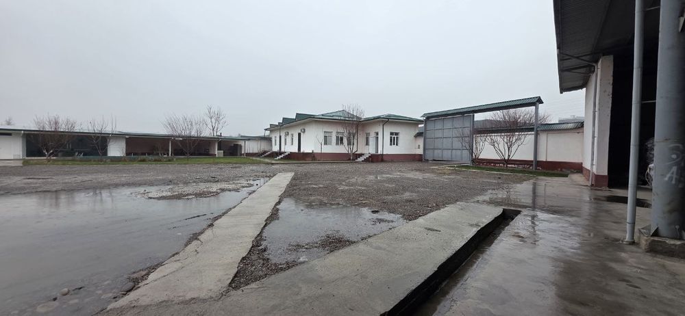 Срочно продается база новый международный аэропорт!