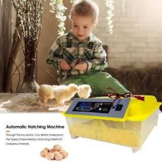 Автоматичен инкубатор за 48 яйца 80W YZ8-48 за различни домашни птици