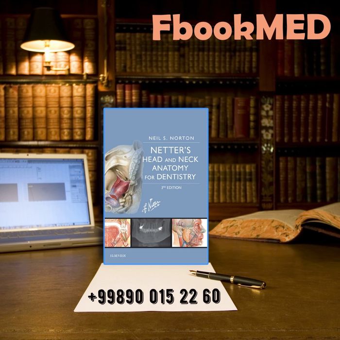 Netter  head and neck anatomy for dentistry