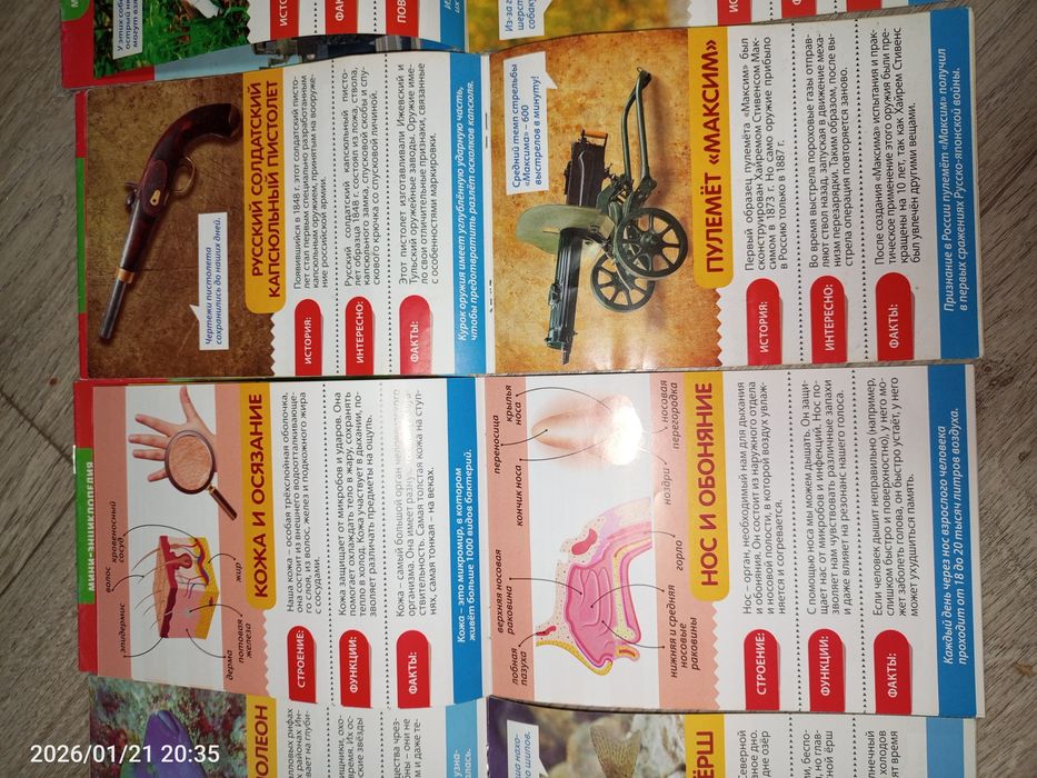 Мини-энциклопедия для детей