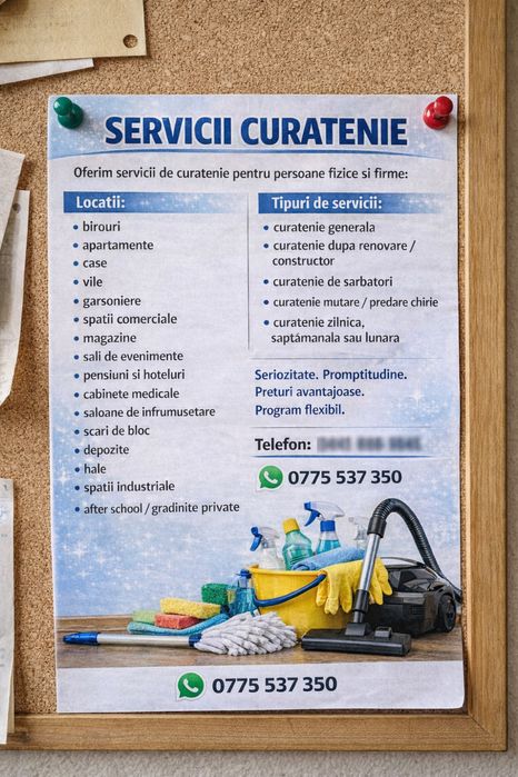 Curatenie la domiciliu