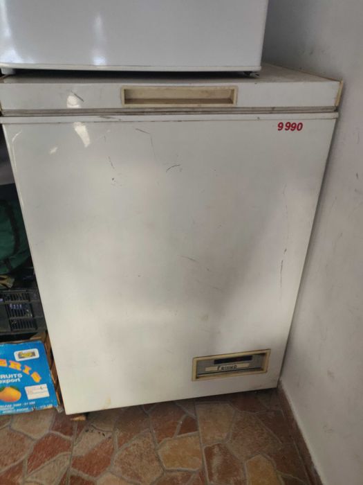 Фризер ракла Frinko 300L