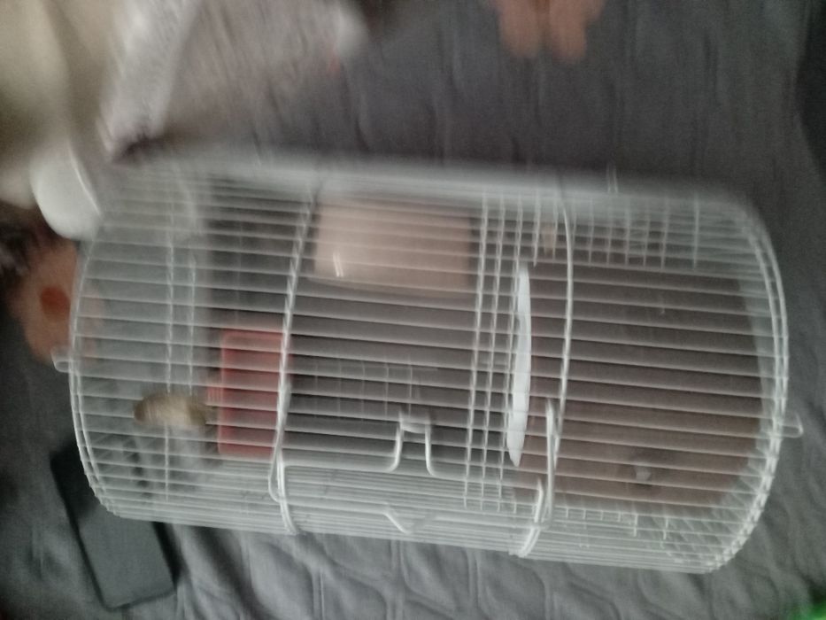 клетка для хомяка