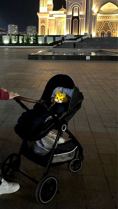 Коляска трасформер tomix