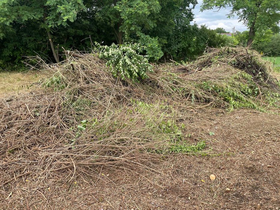 Curatenie si eliberare moloz , debarasare mobile veche , gunoi