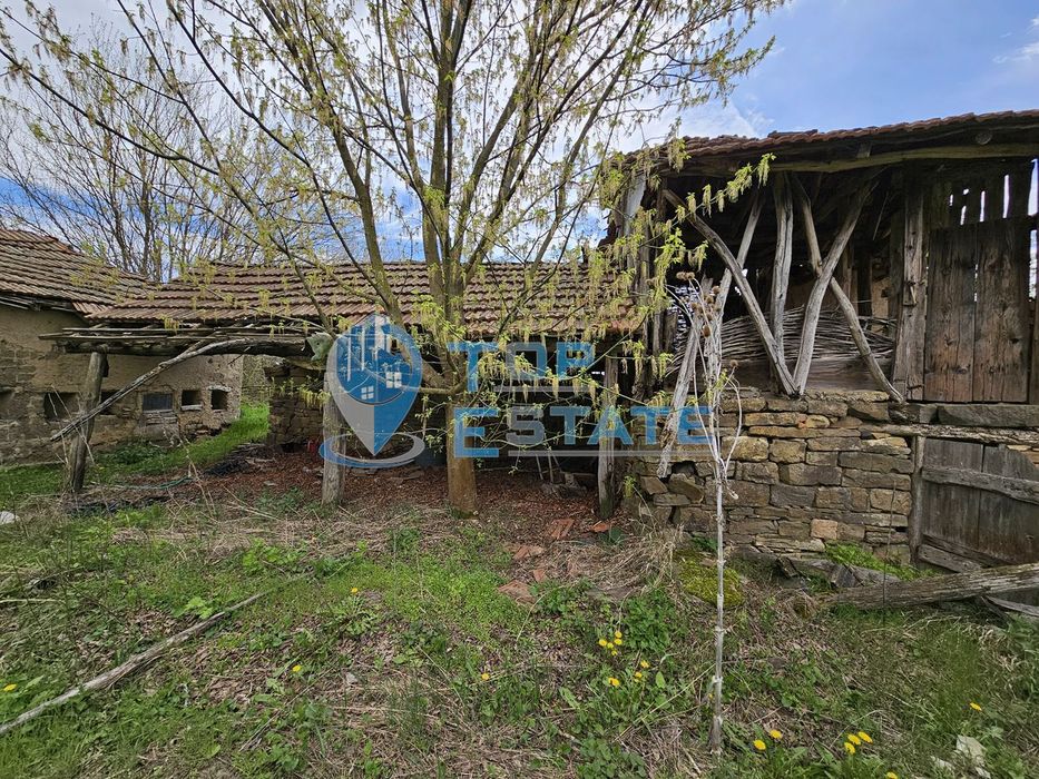 Голям парцел със стара къща в с. Драгомирово