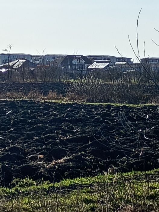 Vind 20 de ari teren