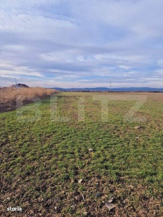 Teren intravilan, 8700mp,Prejmer