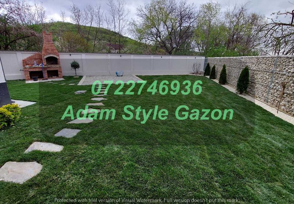 Gazon Natural Rezistent pentru Curți