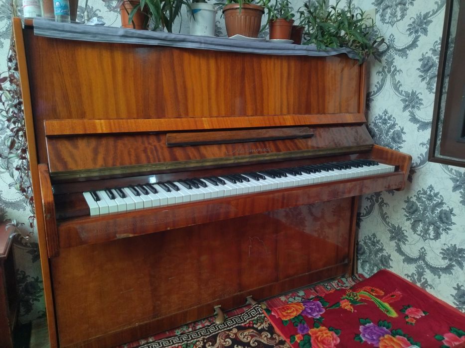 Pianino Lastochka