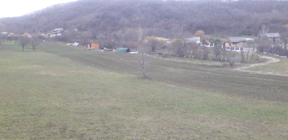 Teren Vladesti Priporu