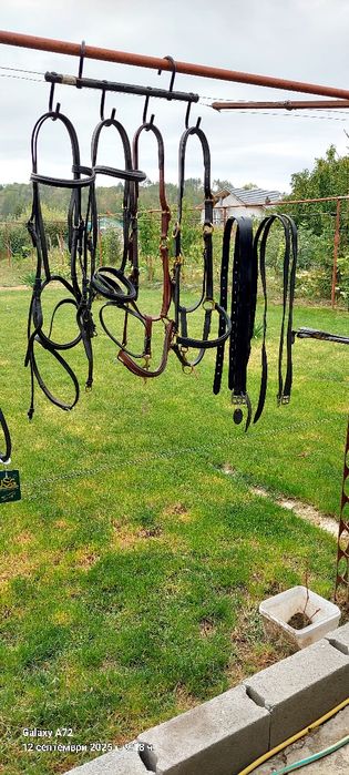 Амуниция и принадлежности за коне