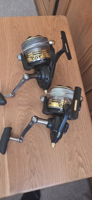 Black cat extreme 495