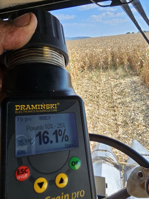 Vând Porumb boabe uscat calitate foarte bună