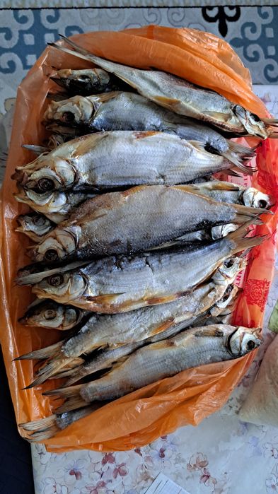 Рыбец жырный дамди